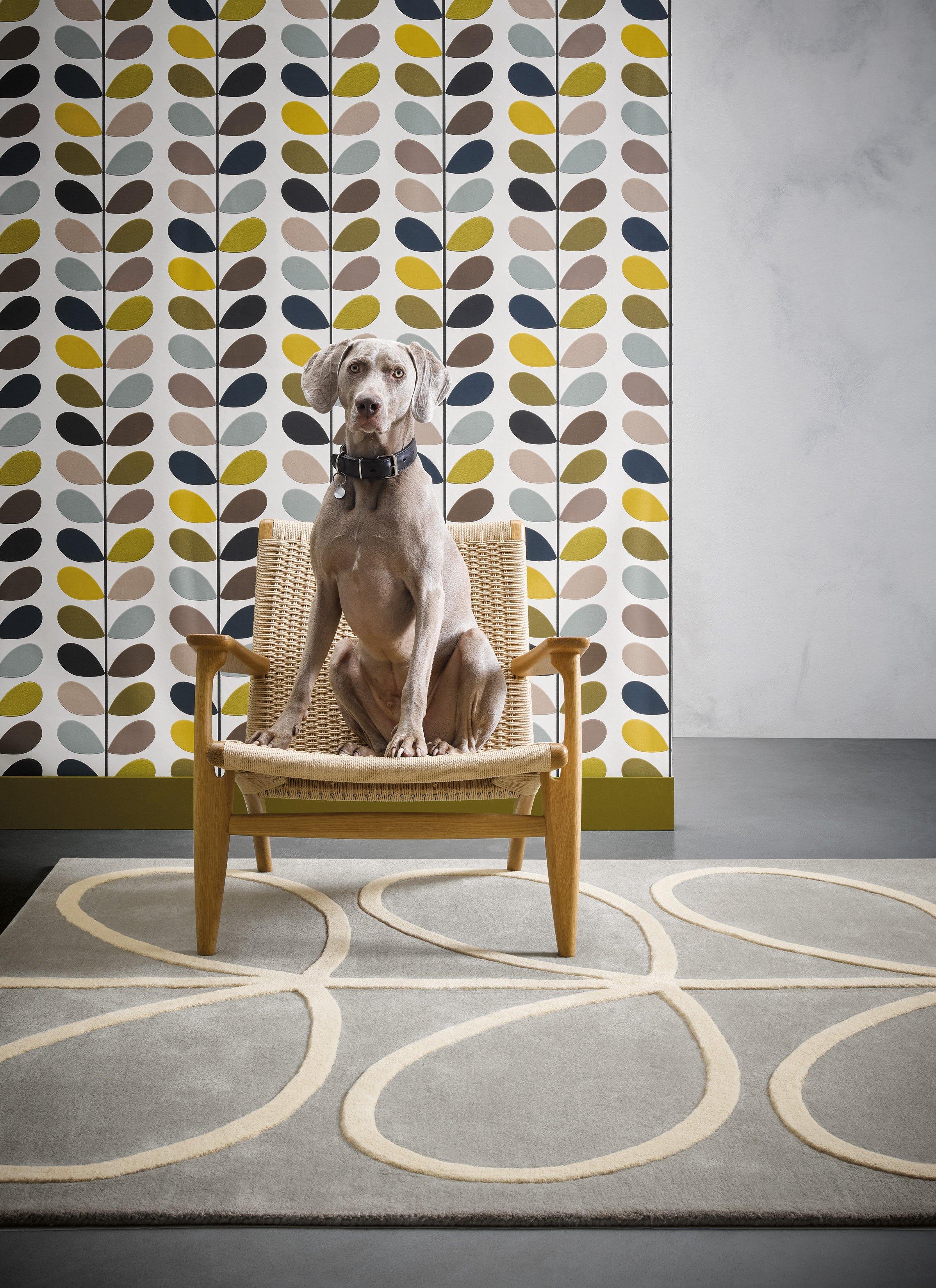 Giant Linear Stem 059404 - The Rug Loft rugs ireland