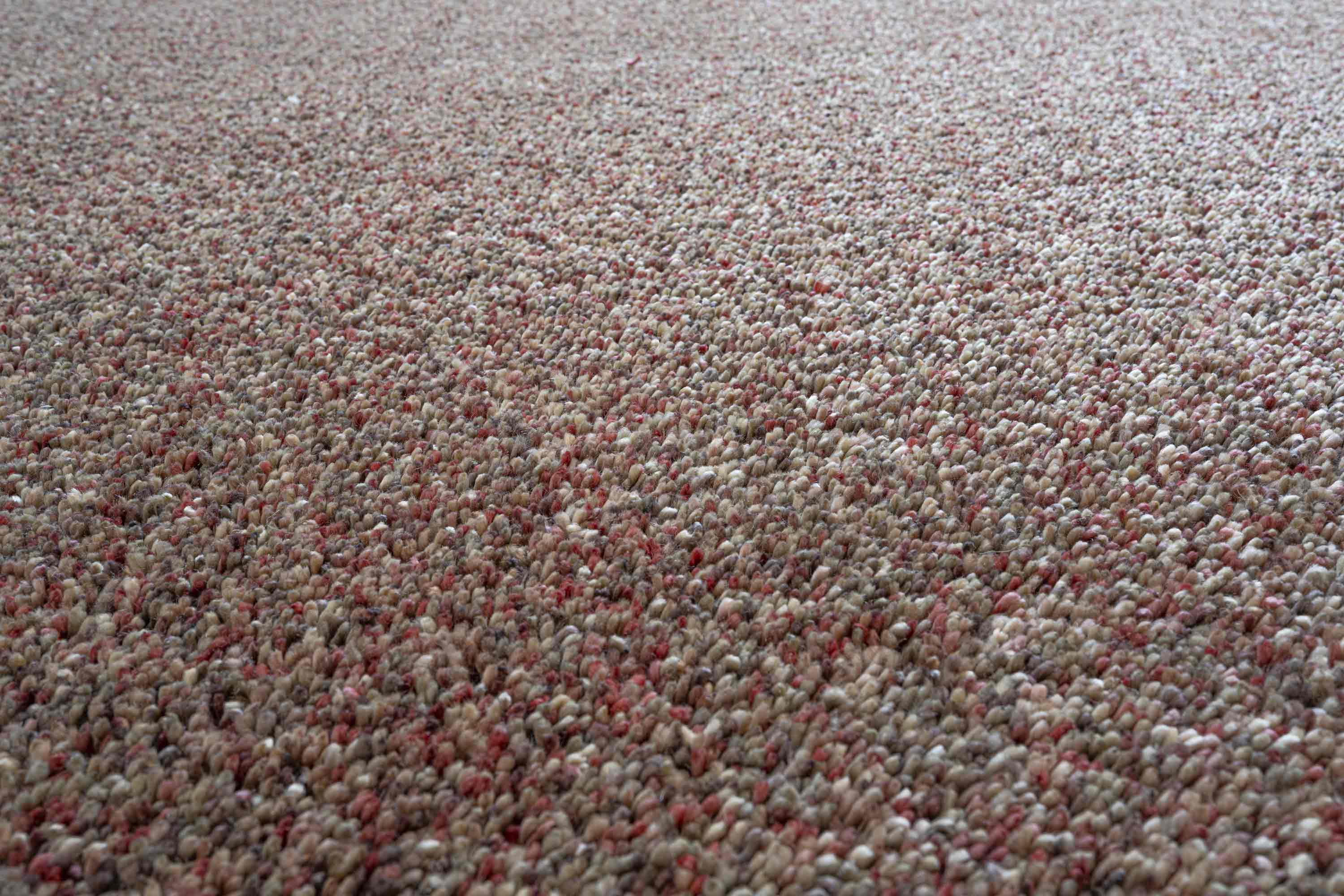 Coral 1121 Red Rug
