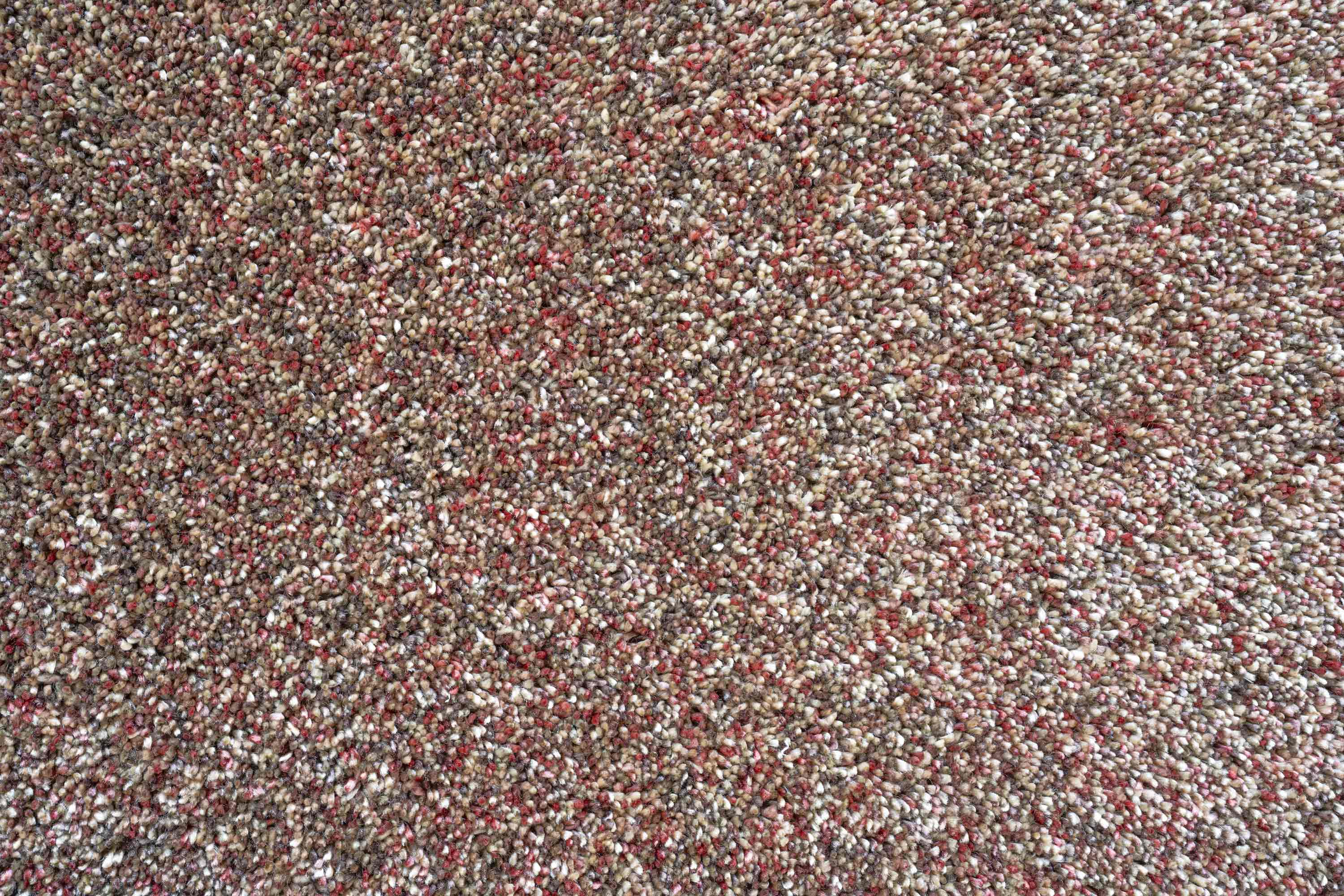 Coral 1121 Red Rug