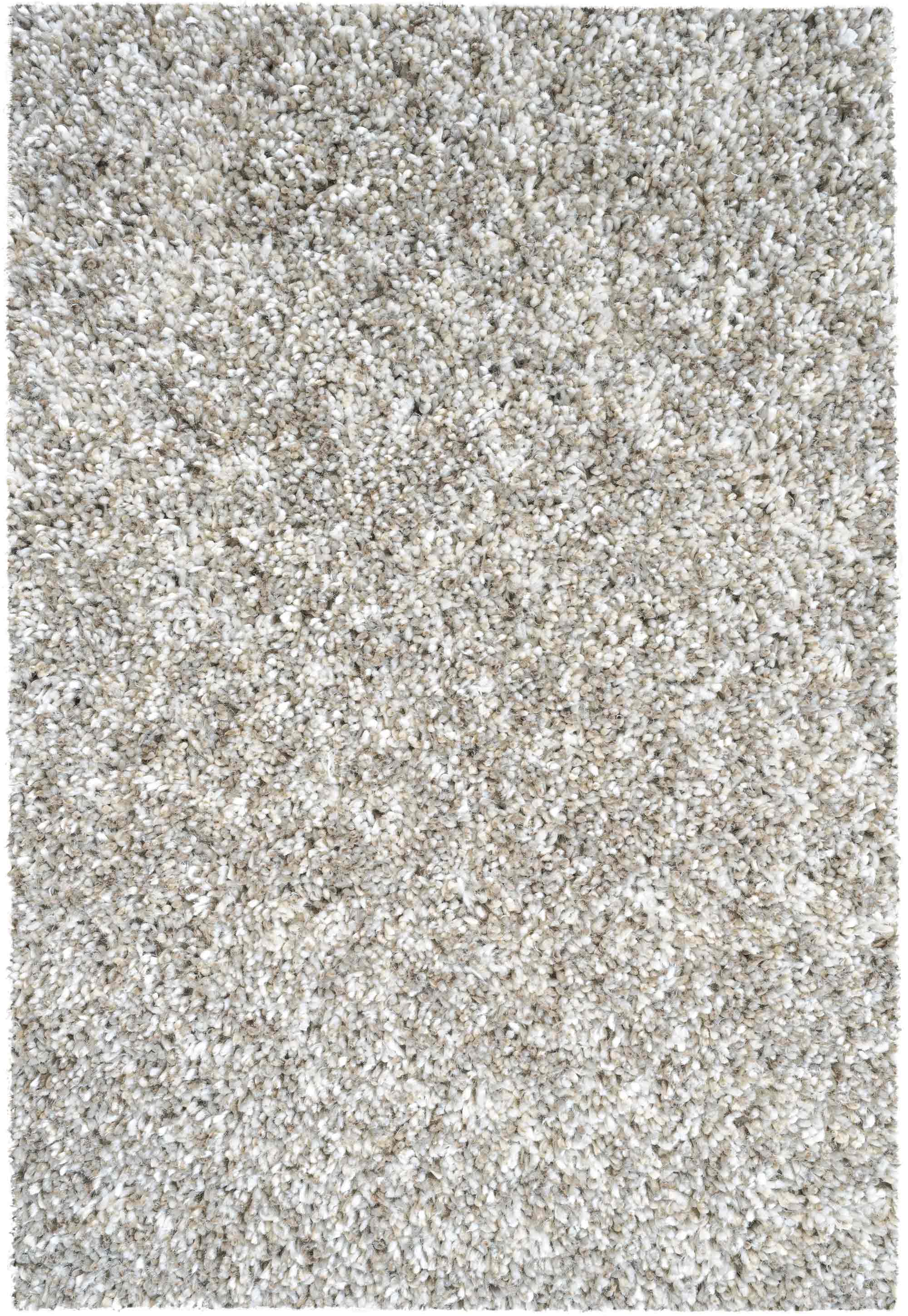 Coral 2252 Light Beige Rug