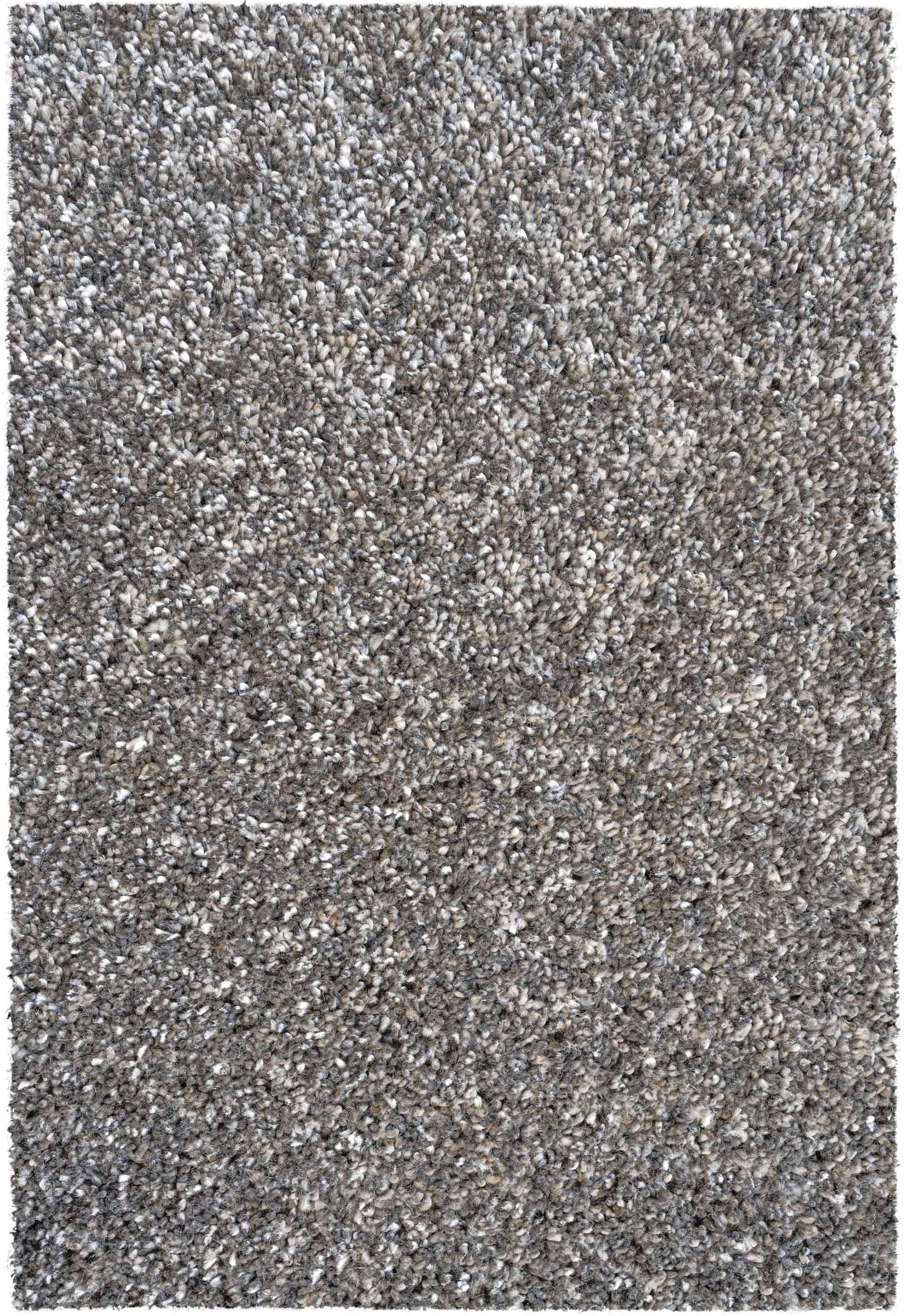 Coral 3232 Taupe Rug