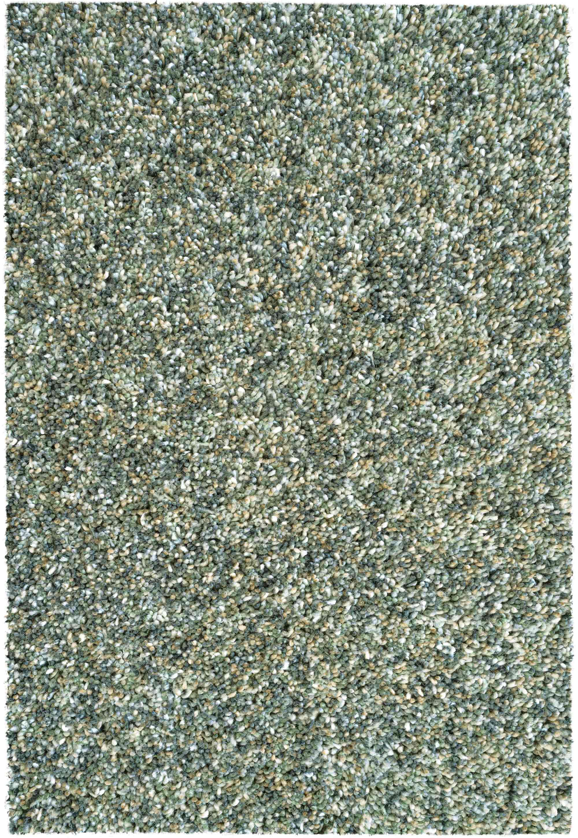 Coral 4191 Green Rug