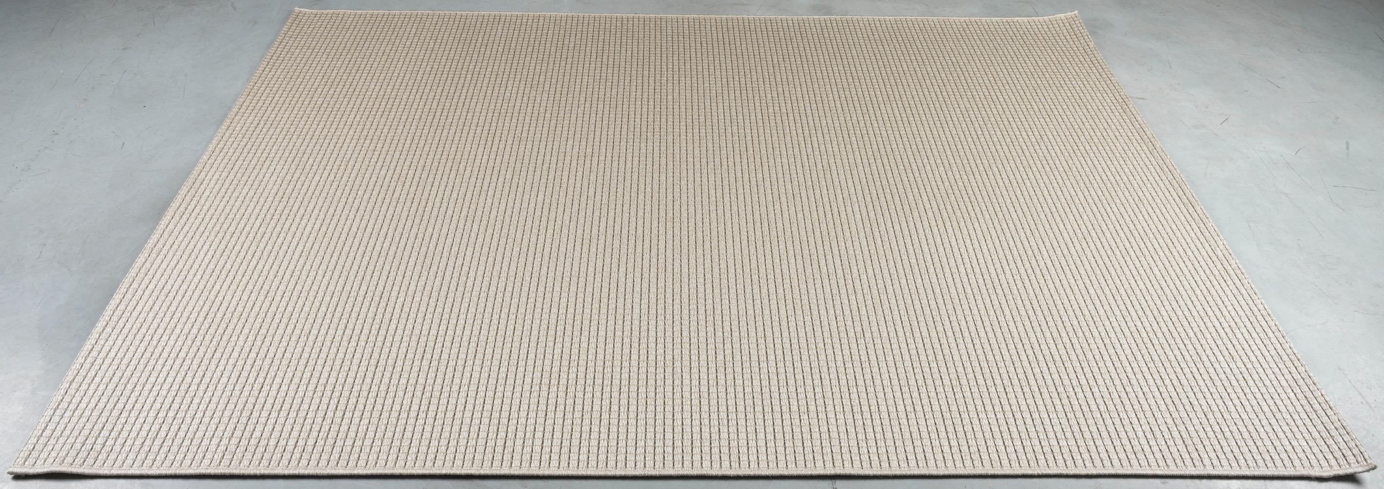 Brighton 98071-6029 Rug