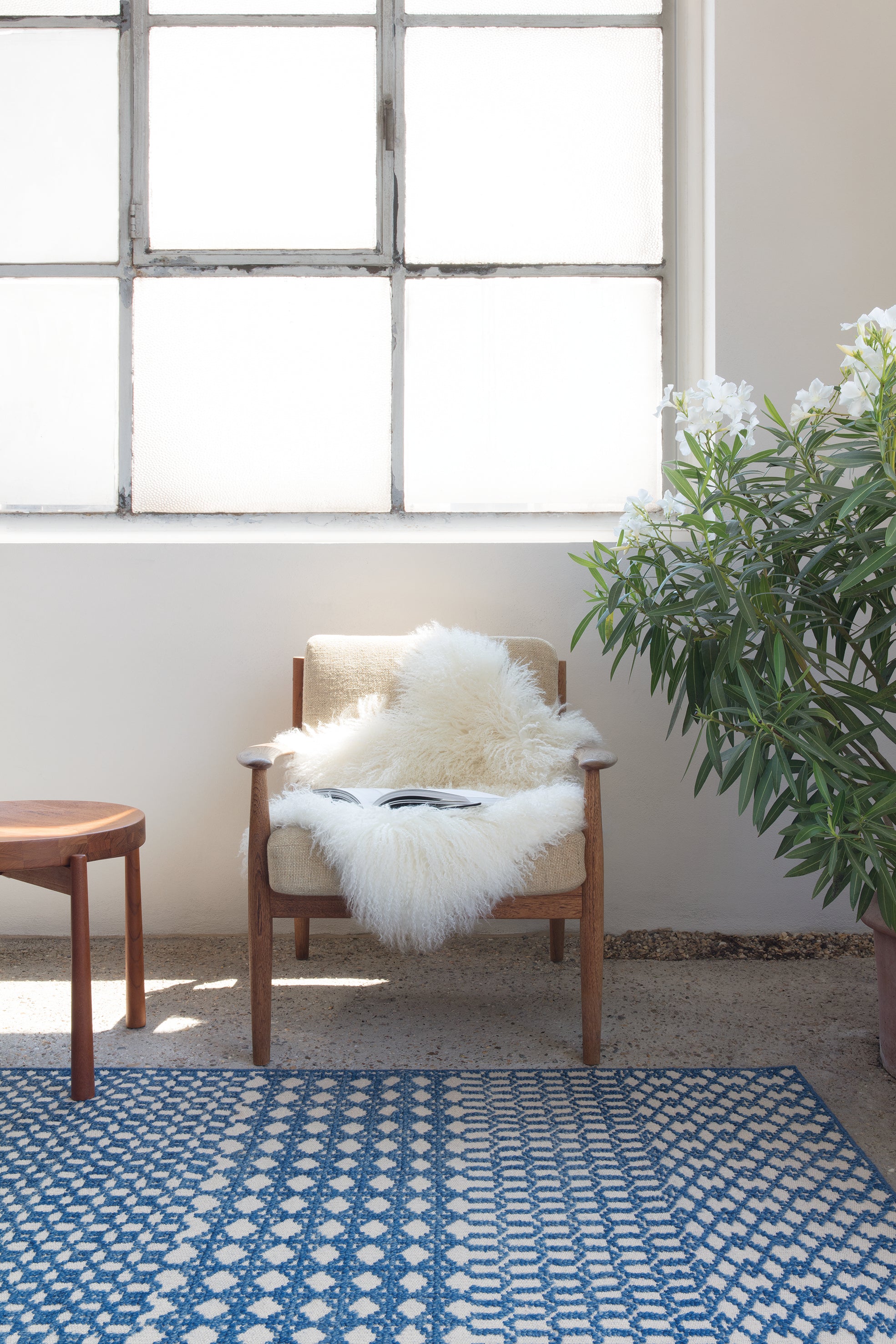Ligne Pure Switch 237.001.500 Rug