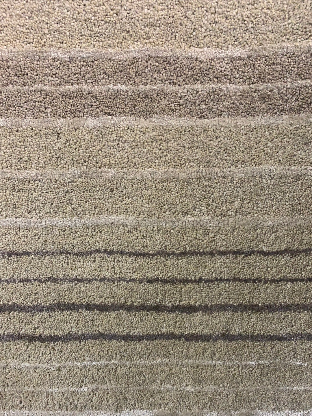 Multistripe Beige/Silver Rug